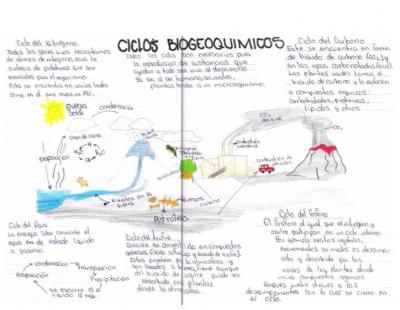 ciclo biogeoquimico